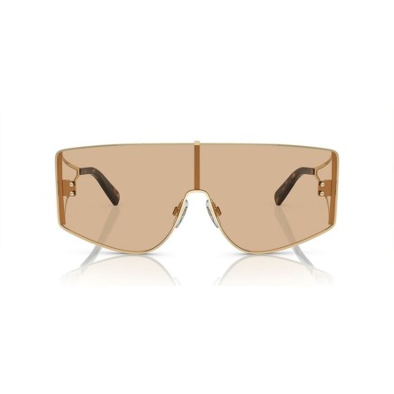 Lunettes de soleil Femme Dolce & Gabbana DG 2305 2