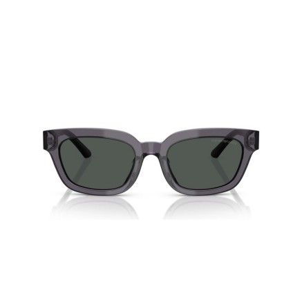 Zonnebril Dames Emporio Armani EA 4233U 2