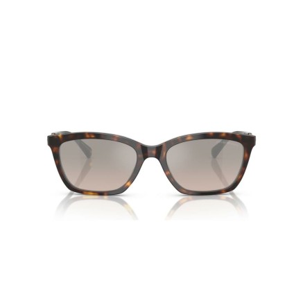 Gafas de Sol Mujer Emporio Armani EA 4238 2