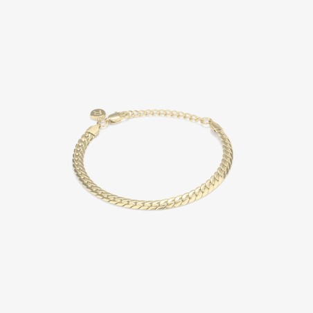 Armband Dames Radiant RH000227 Gouden