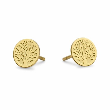 Ladies' Earrings CO88 Collection 8CE-70144 Golden 2