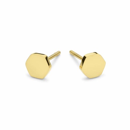 Ladies' Earrings CO88 Collection 8CE-70308 Golden 2