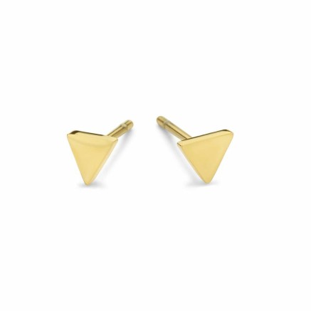 Ladies' Earrings CO88 Collection 8CE-70306 Golden 2
