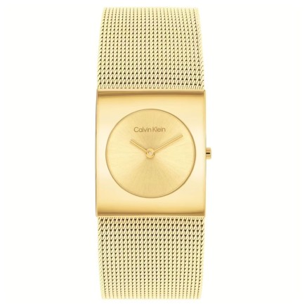 Orologio Uomo Calvin Klein 1693551