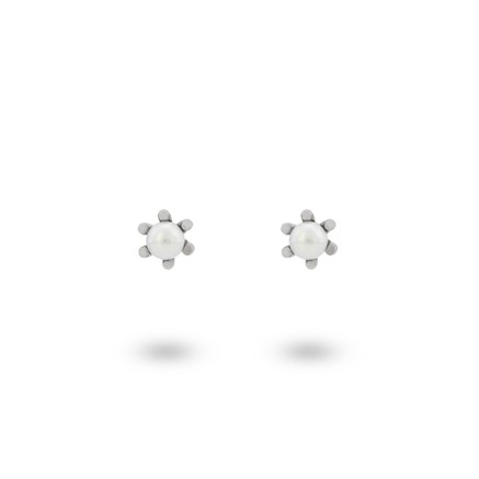 Boucles d´oreilles Femme 24KAE 42420S Argenté