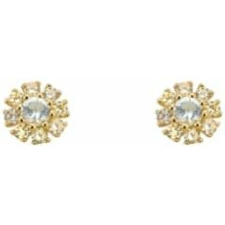 Orecchini Donna 24KAE Metallo