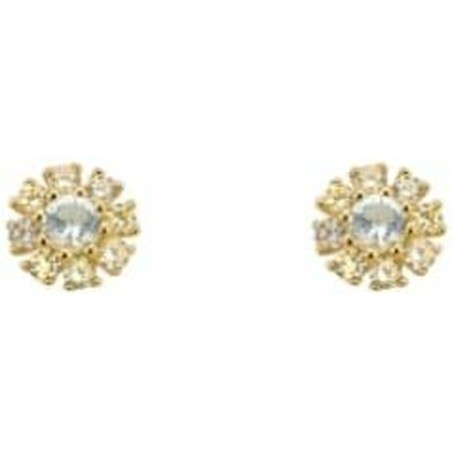 Orecchini Donna 24KAE Metallo