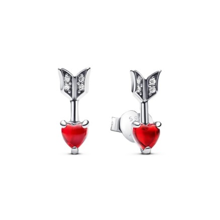 Oorbellen Dames Pandora 293668C01