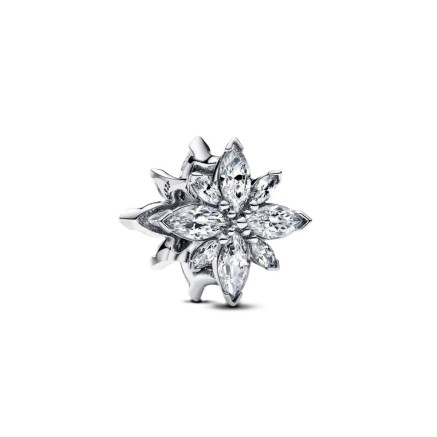 Sieraad Dames Pandora 793591C01 Zilverkleurig
