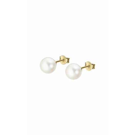 Ladies' Earrings Lotus HIN00001/8 Golden