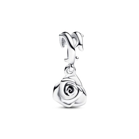 Ladies' Beads Pandora 793213C00 Silver