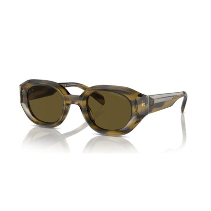 Zonnebril Heren Emporio Armani EA 4230U