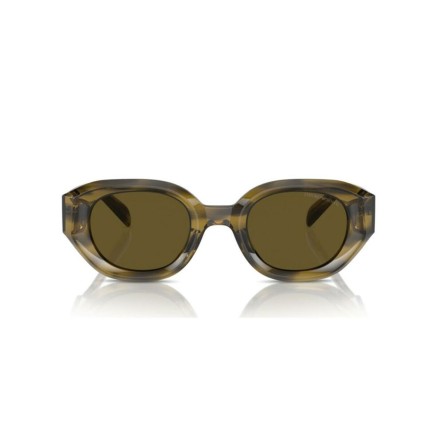 Gafas de Sol Hombre Emporio Armani EA 4230U 2