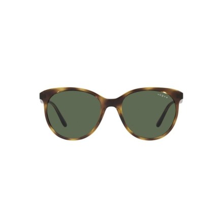 Zonnebril Heren Vogue VO 5453S 2