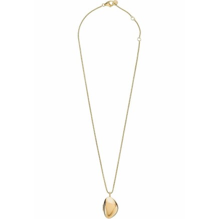 Pendentif Femme Skagen SKJ1750710 Doré