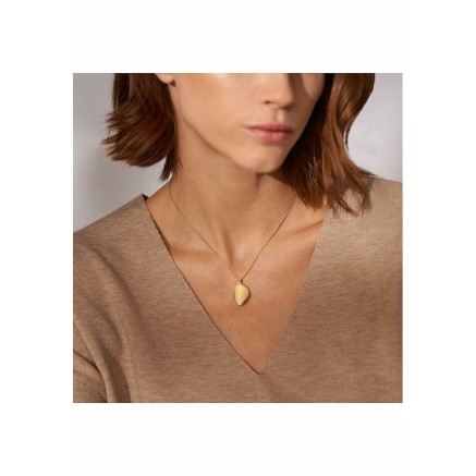 Pendentif Femme Skagen SKJ1750710 Doré 2