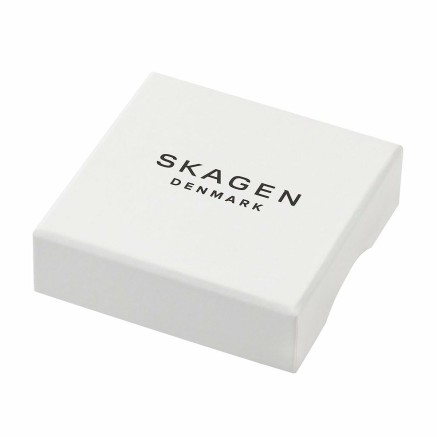 Bracciale Donna Skagen SKJ1815791 Oro rosa 2