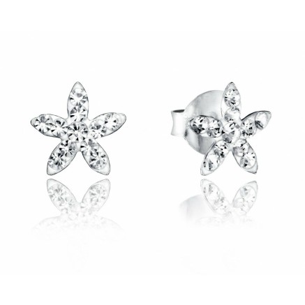 Oorbellen Viceroy 5039K000-30
