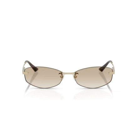 Ladies' Sunglasses Jimmy Choo JC 4013D 2