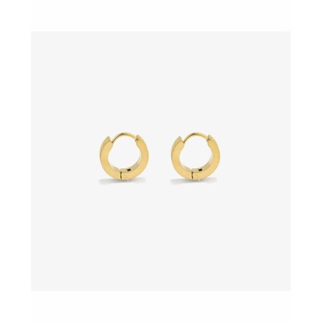 Ladies' Earrings Radiant RH000304 Golden