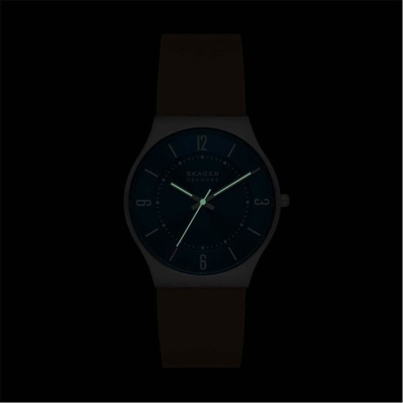 Montre Homme Skagen SKW6852
