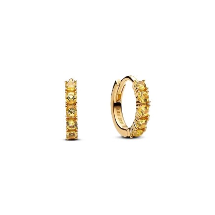 Pendientes Mujer Pandora 263849C01