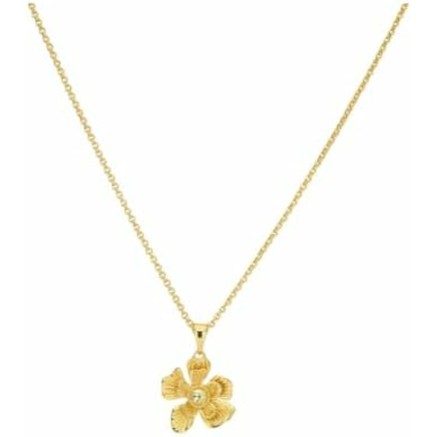 Collana Donna 24KAE 32485Y Dorato