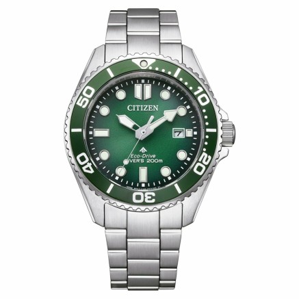 Herrenuhr Citizen BN0269-50W