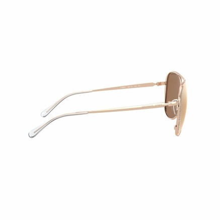 Ladies' Sunglasses Michael Kors 0MK1082 581108R1 2