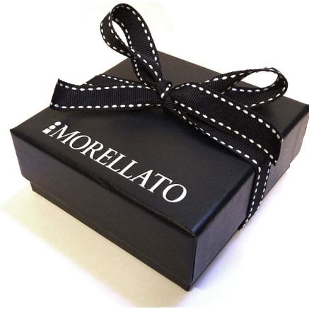Ladies' Earrings Morellato Silver 2
