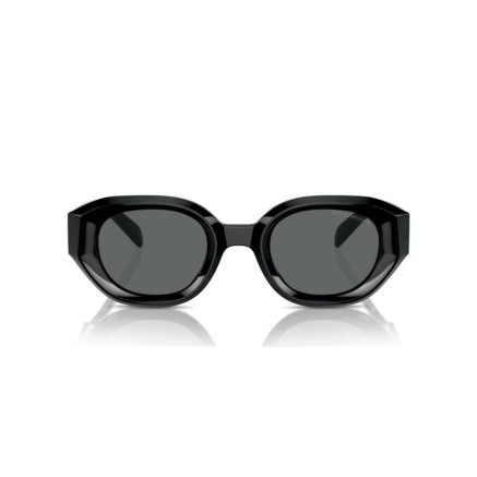 Herrensonnenbrille Emporio Armani EA 4230U 2