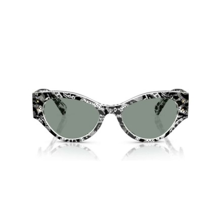 Damensonnenbrille Dolce & Gabbana DG 4480 2