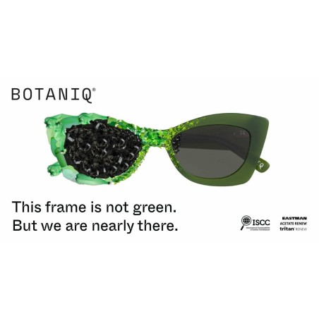 Montatura per Occhiali Uomo Botaniq BIO-1024 54160