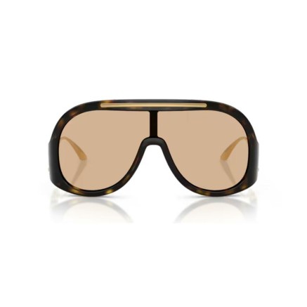 Ladies' Sunglasses Dolce & Gabbana DG 6202 2