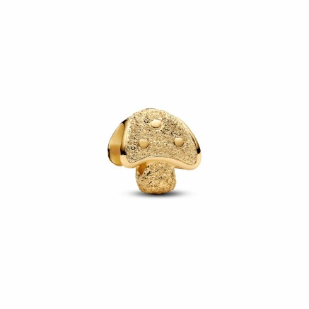 Ladies' Beads Pandora 764048C00 Golden