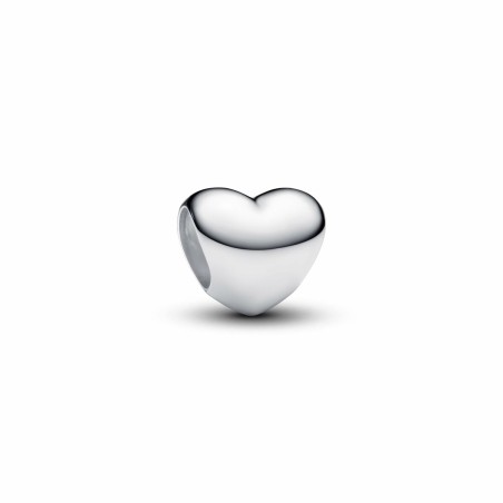 Ladies' Beads Pandora 793998C00 Silver