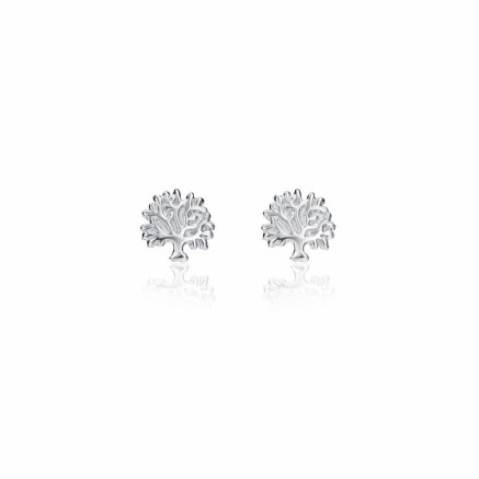 Oorbellen Dames Viceroy 5101E000-30