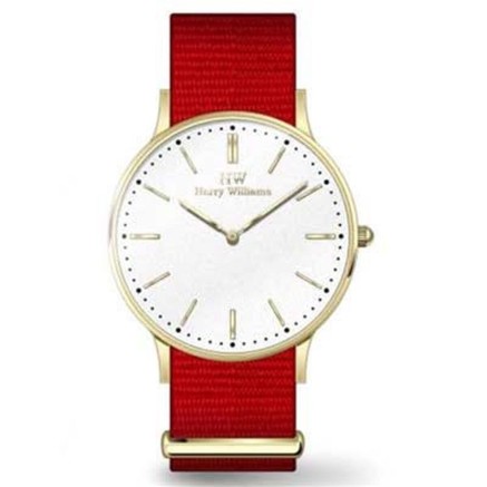 Horloge Heren Harry Williams HW-2014L_15