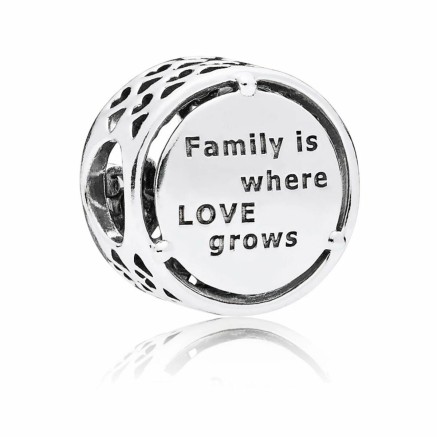 Woman's charm link Pandora OPENWORK FAMILY ROOTS 2