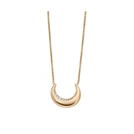 Ketting Dames Skagen SKJ1614710