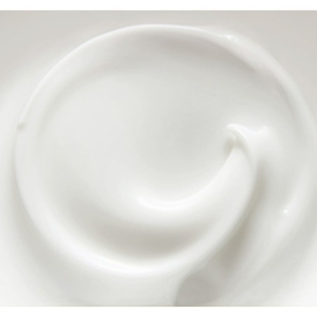 Revitalisierende Creme Collistar FUTURA 50 ml