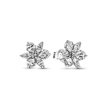 Oorbellen Dames Pandora 292633C01