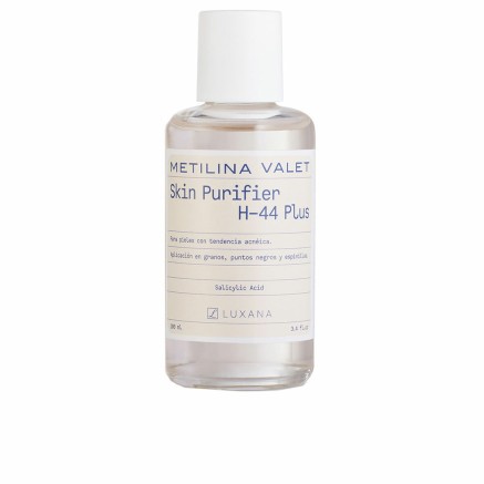 Make-Up Pinsel Metilina Valet METILINA VALET 100 ml