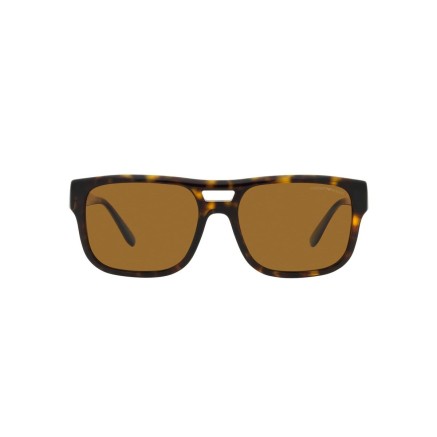 Zonnebril Heren Emporio Armani EA 4197
