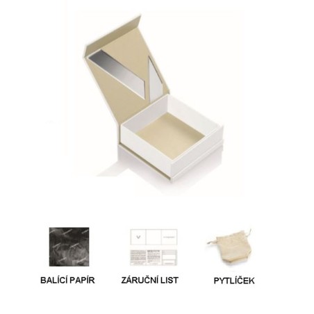 Oorbellen Dames Viceroy 75272E01012