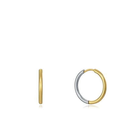 Oorbellen Dames Viceroy 75316E01012