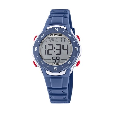 Horloge Heren Calypso K5801/5 Grijs