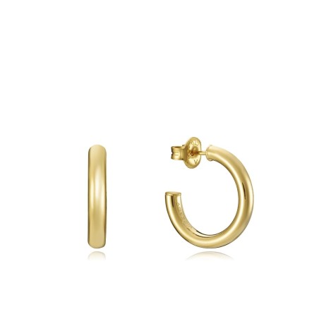 Oorbellen Dames Viceroy 13060E100-06