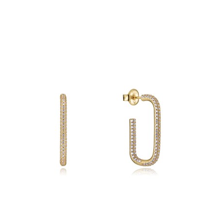 Orecchini Donna Viceroy 13077E100-30