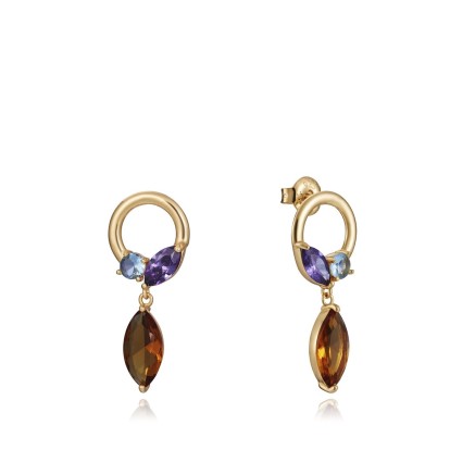 Oorbellen Dames Viceroy 13101E100-39